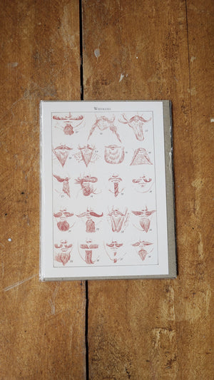 The Pattern Book Press Whiskers