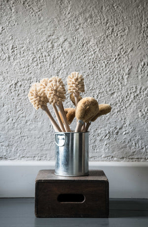 Coconut Fibre Dish Brush