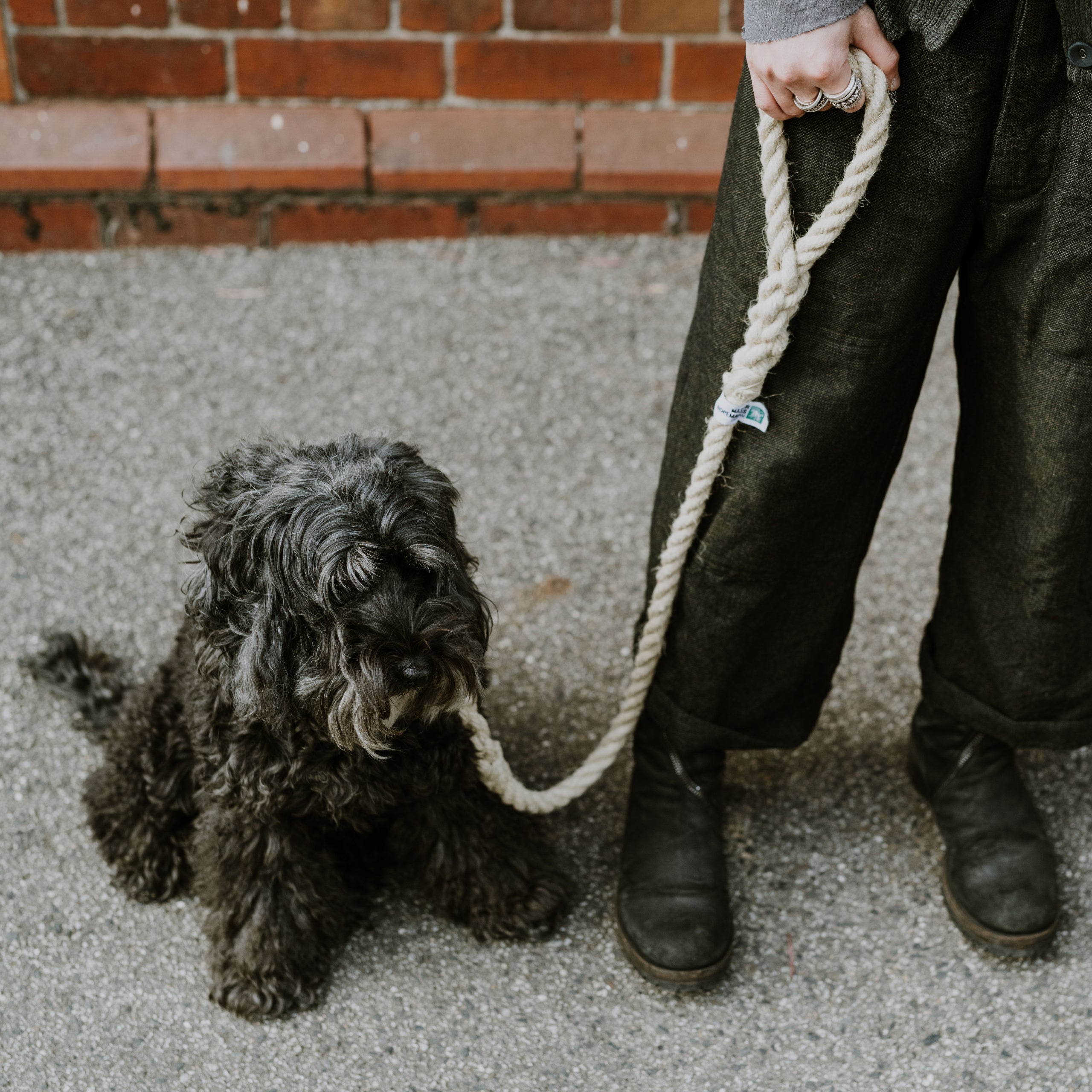 Master Ropemakers Dog Leads