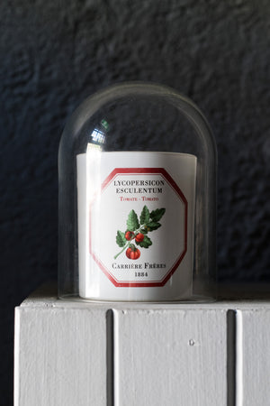 Carriere Freres Tomato Candle