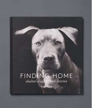 Finding Home - Shelter Dogs and Their Stories