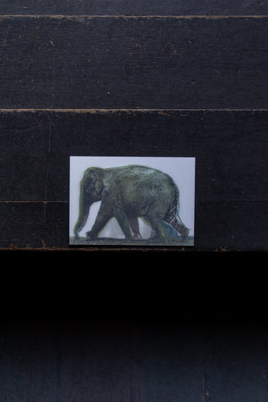 Lenticular Muybridge Elephant