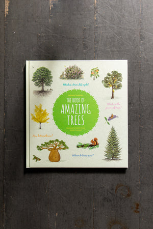 The Book Of Amazing Trees by Nathalie Tordjman, Isabelle Simler and Julien Norwood