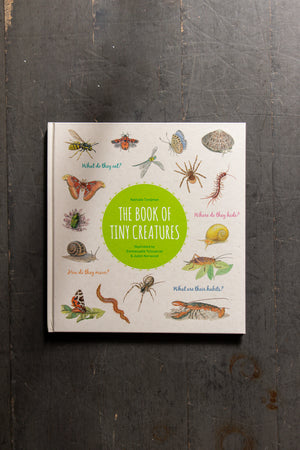 The Book Of Tiny Creatures by Nathalie Tordjman and Emmanuelle Tchoukriel