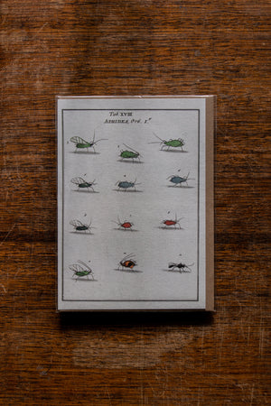 The Pattern Book Press Aphids Card
