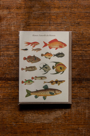 The Pattern Book Press Historie Evolutive des Poissons Card