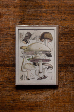 The Pattern Book Press Fungi Card