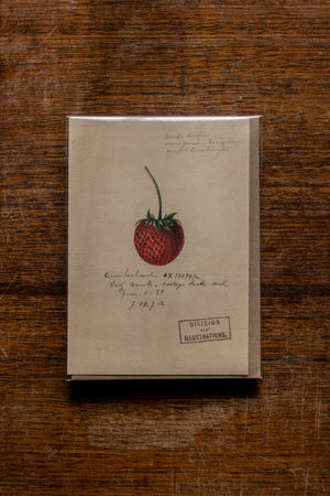 The Pattern Book Press Strawberry Card