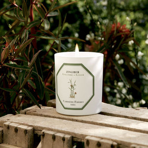 Carriere Freres Ginger Candle